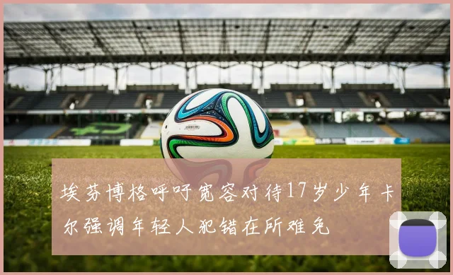 埃芬博格呼吁宽容对待17岁少年卡尔强调年轻人犯错在所难免