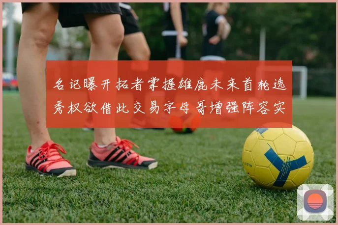 名记曝开拓者掌握雄鹿未来首轮选秀权欲借此交易字母哥增强阵容实力