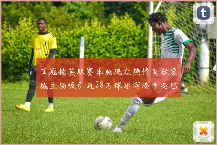 亚冠精英联赛本轮观众热情高涨蓉城主场吸引近28万球迷海港申花也超万人到场